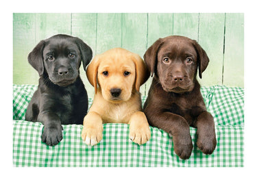 Puzzle Los tres Labradores - Banbury Arte